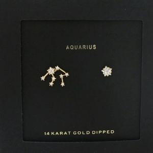 AQUARIUS Gold Dipped CZ Stud Zodiac Earrings Trendy